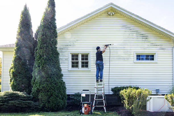 Best Exterior Home Cleaning  in Long View, NC