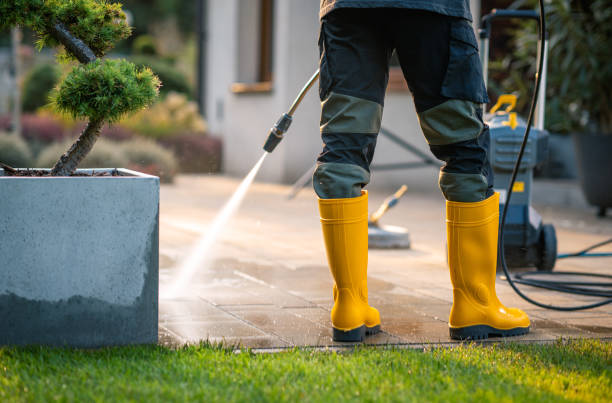 Best Roof Power Washing Services  in Long View, NC